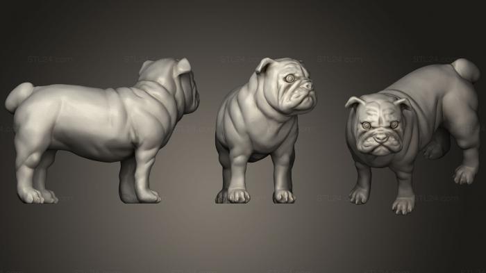 Animal figurines (Gold Bulldog, STKJ_1020) 3D models for cnc